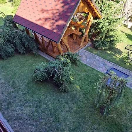 Zelta Pirts Вентспилс